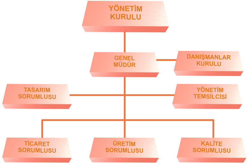 Organizasyon Şeması